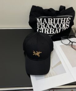 ARCTERYXSMALLBIRDHAT始祖鸟_12771