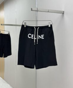 celine赛琳 22ss 胶囊系列标_510